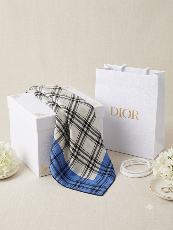 Dior Accessories - Blue and White Plaid Scarf with Black Grid dior bag included